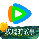 难忘的初中生活作文800字高中作文